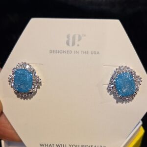 Sparkling Blue and Silver Stud Earrings